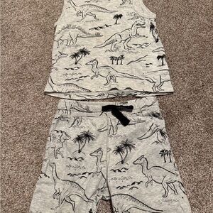 H&M Gray Dinosaur Kids Matching Set